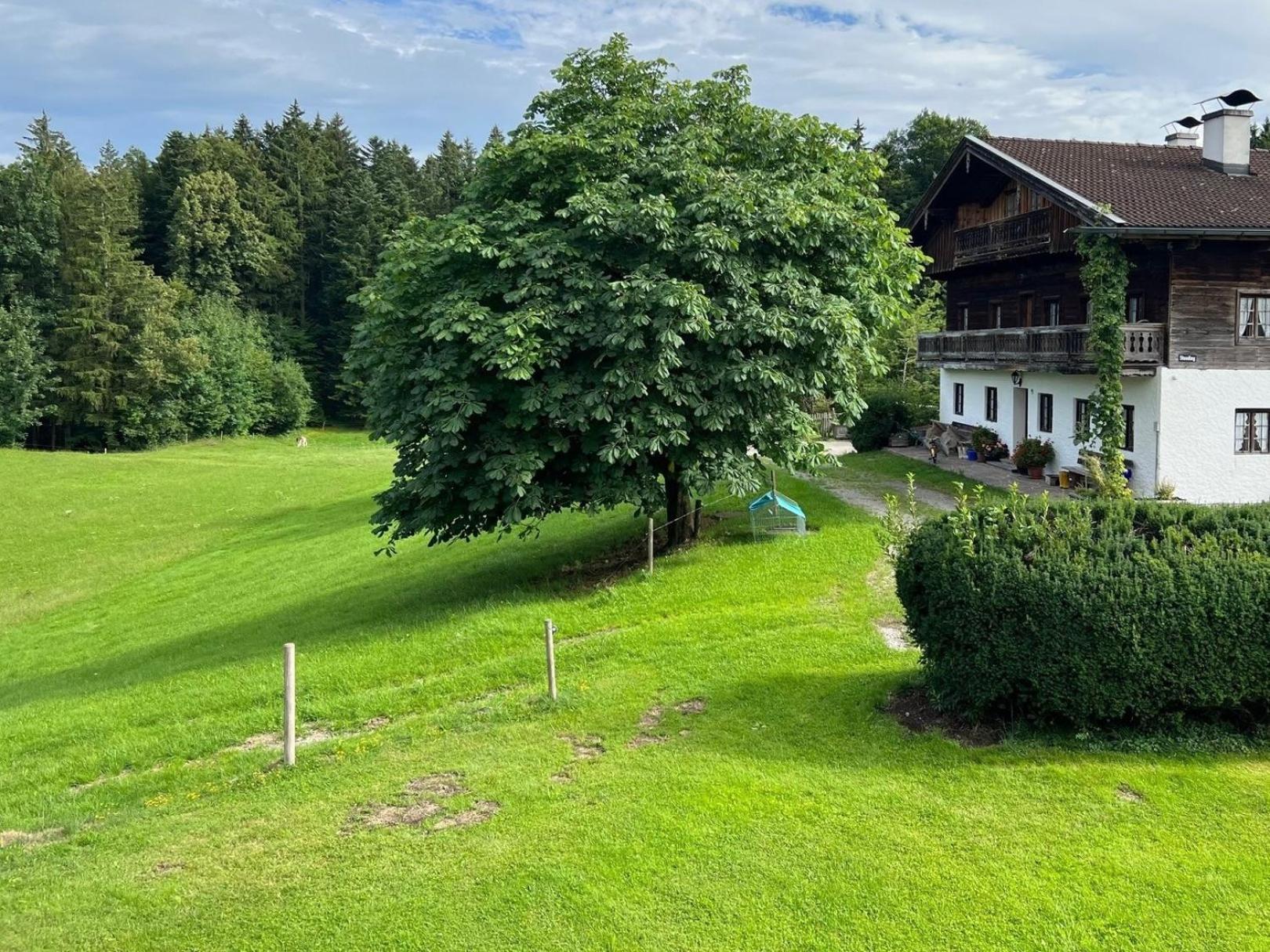 Fewo Staudinger Irschenberg Exteriör bild