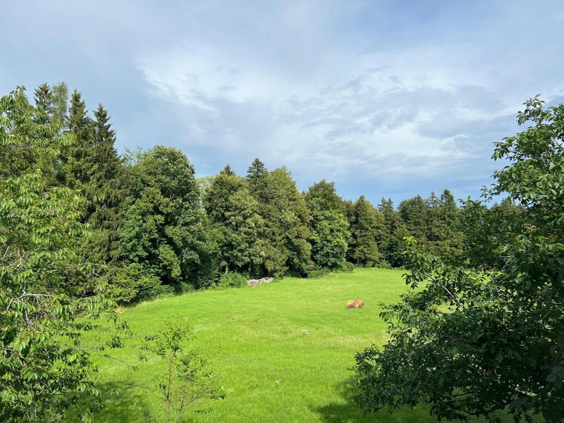 Fewo Staudinger Irschenberg Exteriör bild